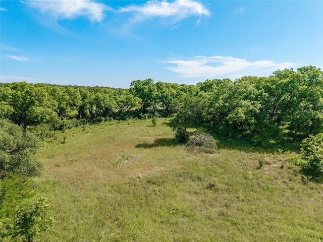 92.195ACRESTBD County Road 434, De Leon, TX 76446