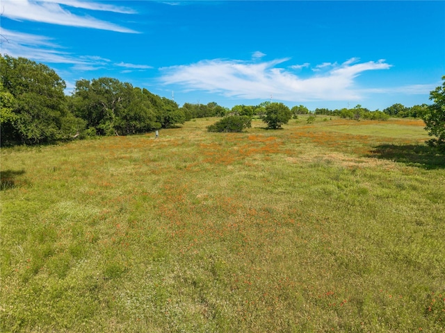 92.195ACRESTBD County Road 434, De Leon, TX 76446