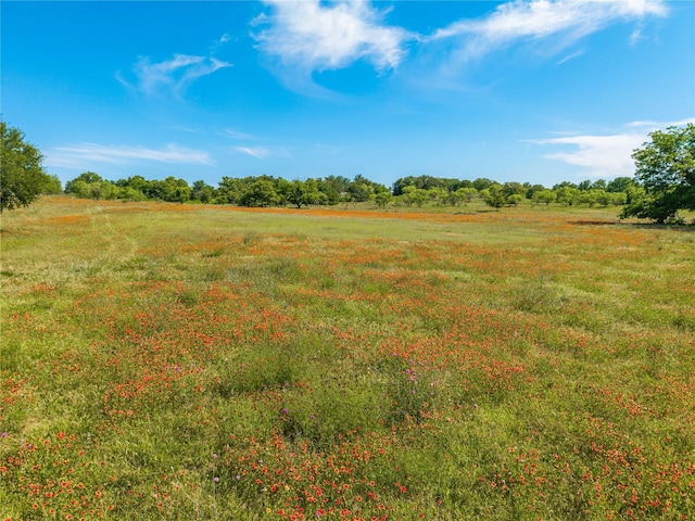 92.195ACRESTBD County Road 434, De Leon, TX 76446