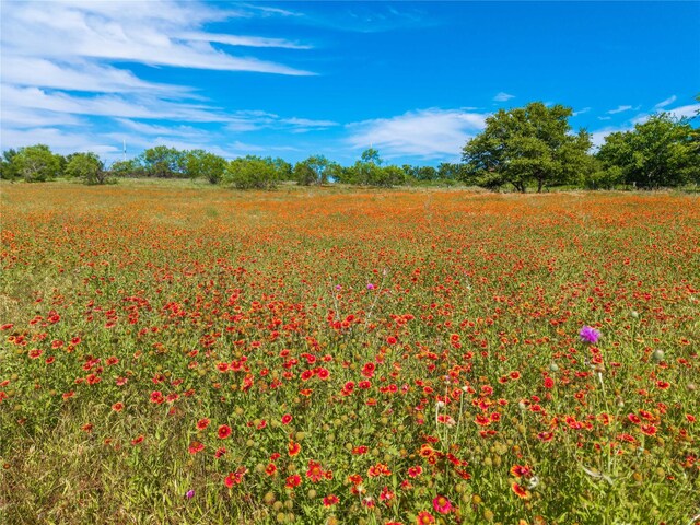 92.195ACRESTBD County Road 434, De Leon, TX 76446
