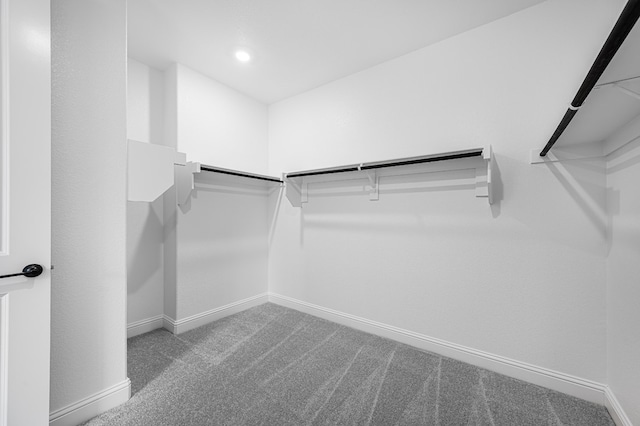 4251 Arlington Ave, Mckinney, TX 75071 - spacious closet featuring carpet flooring