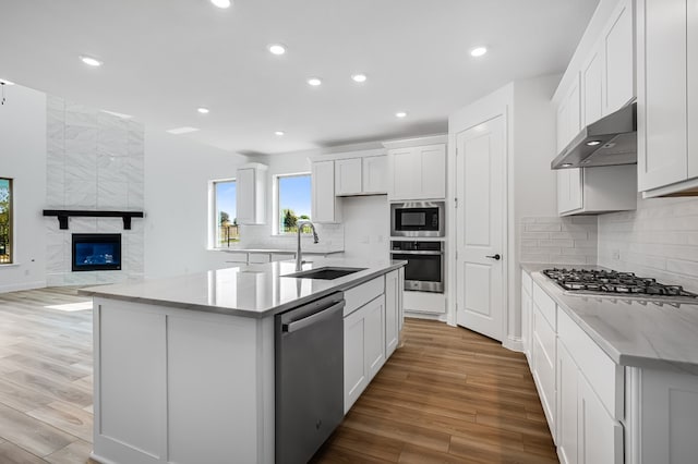 4251 Arlington Ave, Mckinney, TX 75071 - kitchen featuring stainless steel appliances, a sink, under cabinet range hood, light wood-style floors, and recessed lighting