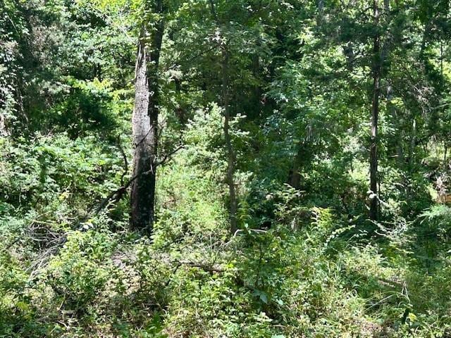 811 Lcr 238, Mexia, TX 76667