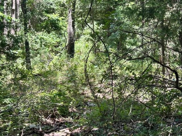 811 Lcr 238, Mexia, TX 76667