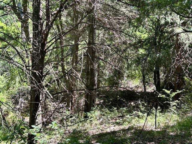 811 Lcr 238, Mexia, TX 76667