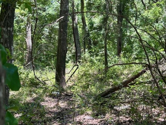 811 Lcr 238, Mexia, TX 76667
