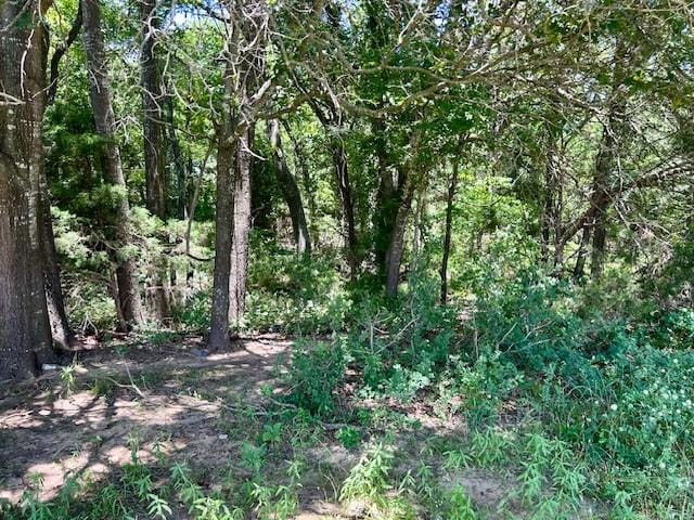 811 Lcr 238, Mexia, TX 76667