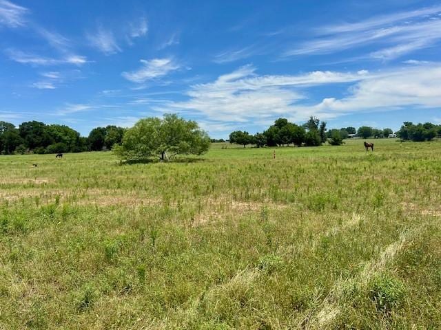 811 Lcr 238, Mexia, TX 76667