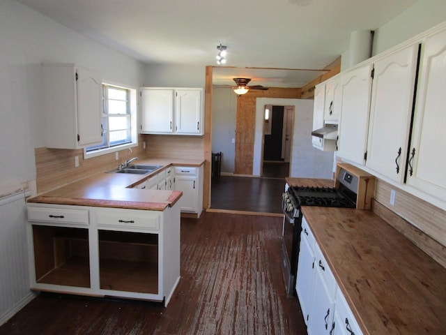 841 S 5th Ave, Munday, TX 76371 - kitchen with stainless steel range with gas stovetop, a sink, white cabinetry, and under cabinet range hood