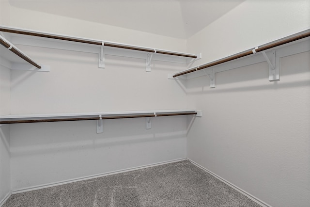 205 Mount Olive Ave, Mckinney, TX 75072 - walk in closet featuring carpet flooring