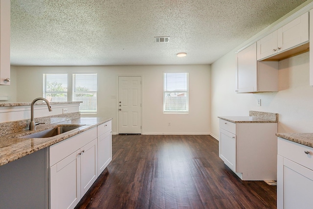1423 Queen Annes Dr, Burleson, TX 76028 - kitchen with a sink, light stone counters, dark wood-style floors, plenty of natural light, and a textured ceiling