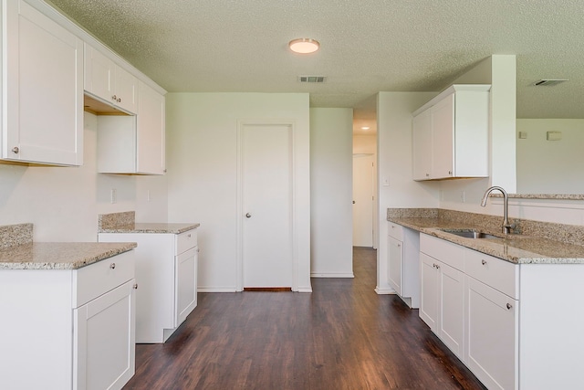 1423 Queen Annes Dr, Burleson, TX 76028 - kitchen featuring a sink, light stone counters, dark wood-style flooring, white cabinetry, and a textured ceiling