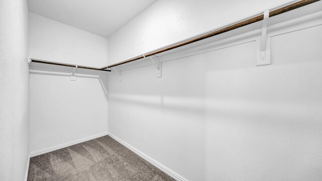 353 Paloma St, Weatherford, TX 76087 - walk in closet featuring carpet