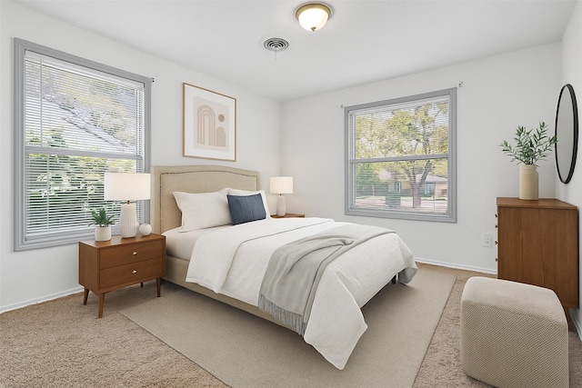 11022 Desdemona Dr, Dallas, TX 75228 - bedroom with carpet floors and baseboards