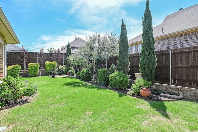 2230 Lewis Canyon Dr, Prosper, TX 75078 - view of yard