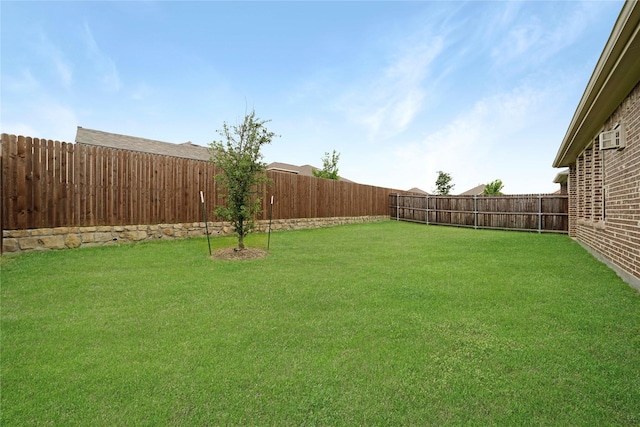 911 Bluewood St, Princeton, TX 75407 - view of yard