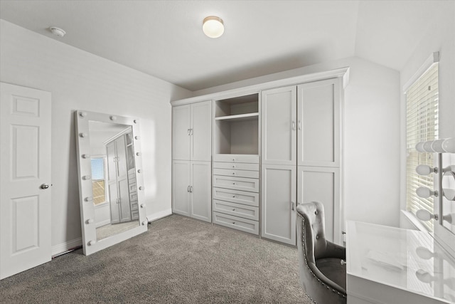 5653 Salt Springs Dr, Fort Worth, TX 76179 - office space with dark colored carpet and vaulted ceiling