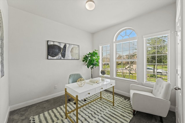 5653 Salt Springs Dr, Fort Worth, TX 76179 - carpeted office space featuring baseboards