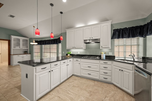 6808 N Oaks Dr, North Richland Hills, TX 76182 - kitchen featuring stainless steel appliances, plenty of natural light, vaulted ceiling, a peninsula, and a sink