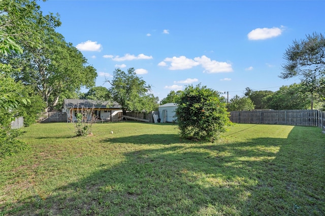 2925 Edmond Ave, Waco, TX 76707 - view of yard