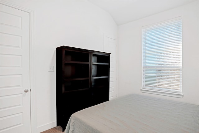3514 Charleston Dr, Melissa, TX 75454 - unfurnished bedroom featuring lofted ceiling