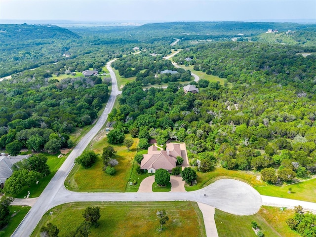 6005 Selkirk Ct, Cleburne, TX 76033 - aerial view of a forest