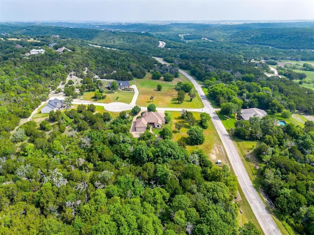 6005 Selkirk Ct, Cleburne, TX 76033 - view of property location with a heavily wooded area