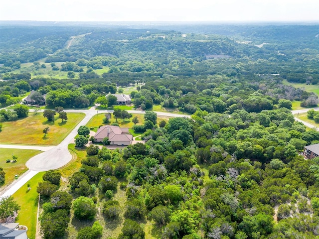 6005 Selkirk Ct, Cleburne, TX 76033 - drone / aerial view of a forest