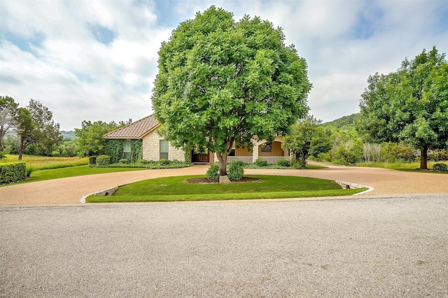 6005 Selkirk Ct, Cleburne, TX 76033 - view of front facade featuring curved driveway, a front lawn, stone siding, and a tile roof