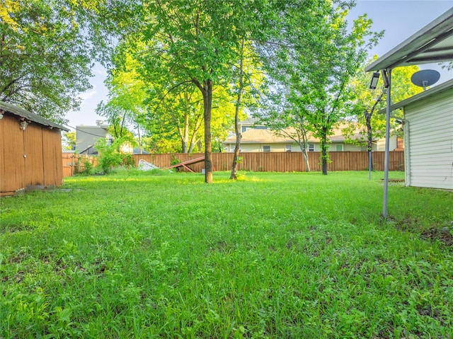 824 Elsbeth St, Dallas, TX 75208 - view of yard