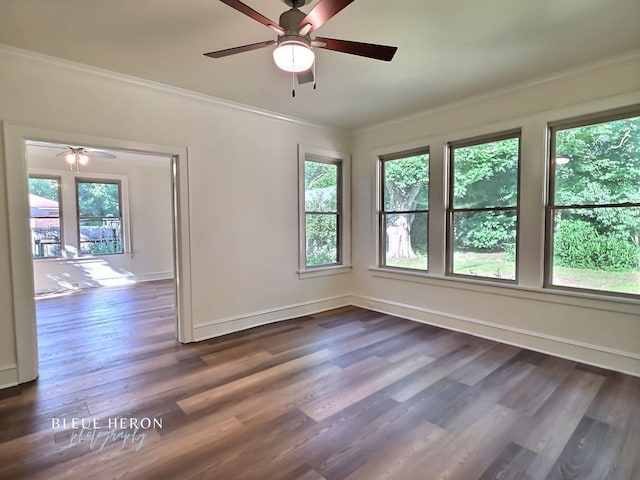 129 Ardmore Ave, Shreveport, LA 71105 - spare room with healthy amount of natural light, ornamental molding, ceiling fan, dark wood finished floors, and baseboards