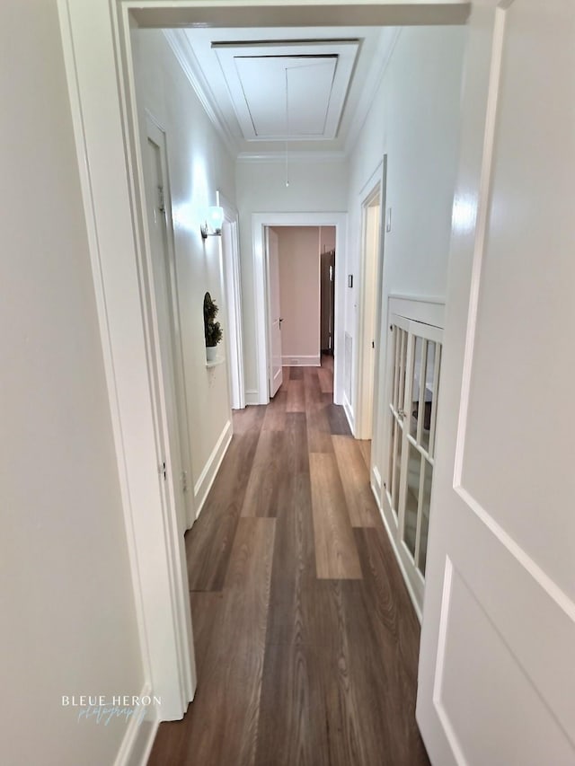129 Ardmore Ave, Shreveport, LA 71105 - corridor with attic access, dark wood-style floors, ornamental molding, and baseboards