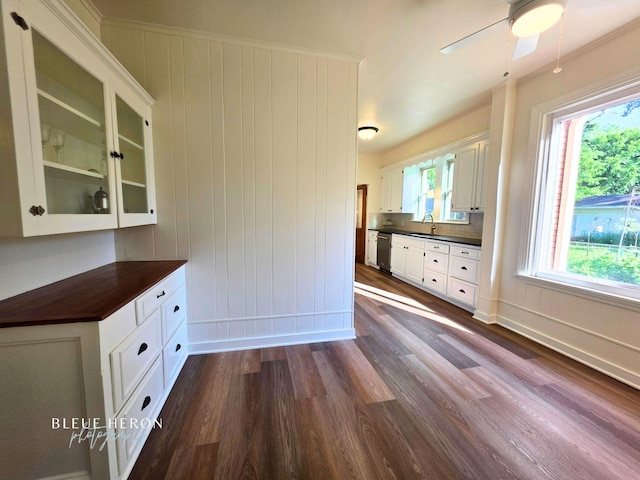 129 Ardmore Ave, Shreveport, LA 71105 - kitchen featuring dark wood finished floors, dishwasher, a sink, glass insert cabinets, and a ceiling fan