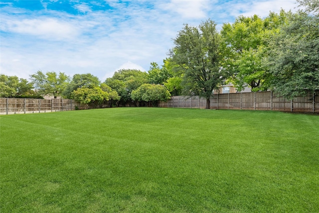 6408 Riverside Dr, Plano, TX 75024 - view of yard