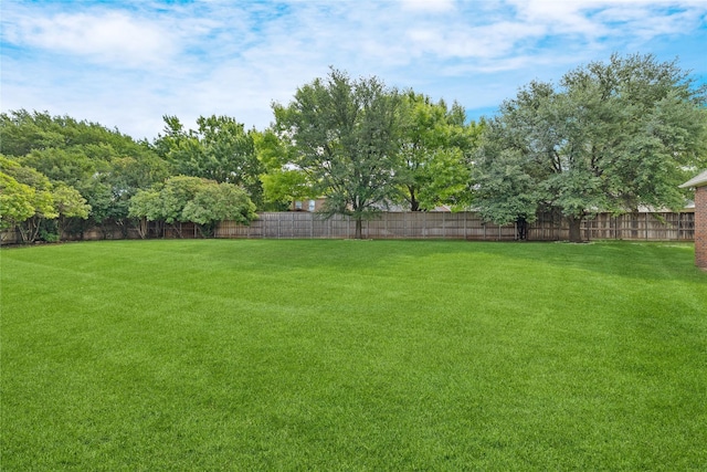 6408 Riverside Dr, Plano, TX 75024 - view of yard