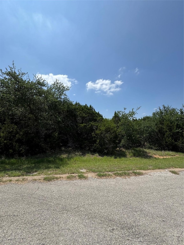 25047 Forrest Dr, Whitney, TX 76692