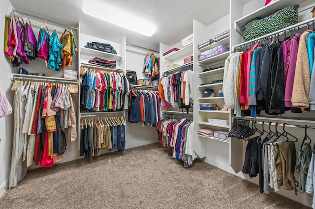 13818 Mammoth Cave Ln, Frisco, TX 75035 - walk in closet with carpet flooring