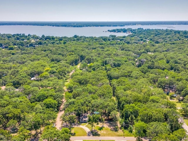 107 Camino Robles St, Gun Barrel City, TX 75156 - bird's eye view of a heavily wooded area and a nearby body of water