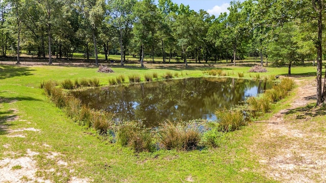 000 Vz County Road 4505, Ben Wheeler, TX 75754