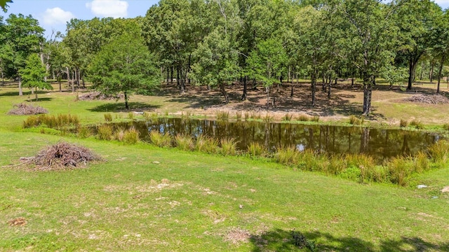 000 Vz County Road 4505, Ben Wheeler, TX 75754