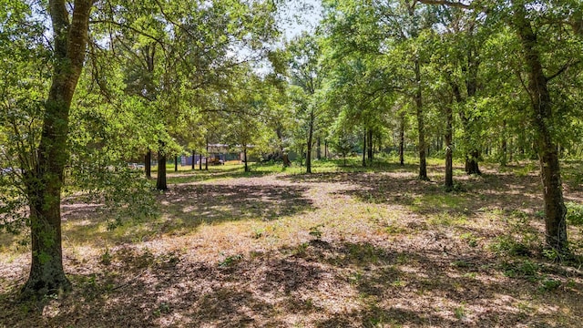 000 Vz County Road 4505, Ben Wheeler, TX 75754