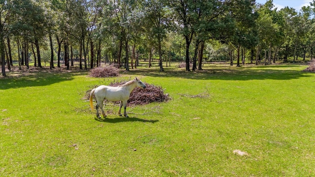 000 Vz County Road 4505, Ben Wheeler, TX 75754