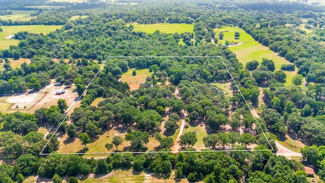 000 Vz County Road 4505, Ben Wheeler, TX 75754