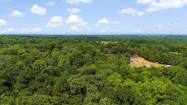 000 Vz County Road 4505, Ben Wheeler, TX 75754