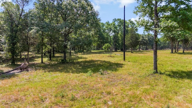 000 Vz County Road 4505, Ben Wheeler, TX 75754