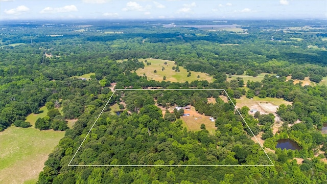 000 Vz County Road 4505, Ben Wheeler, TX 75754