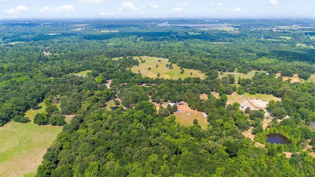 000 Vz County Road 4505, Ben Wheeler, TX 75754