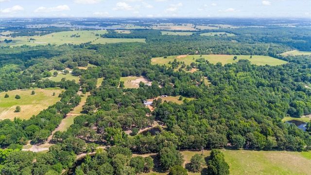 000 Vz County Road 4505, Ben Wheeler, TX 75754