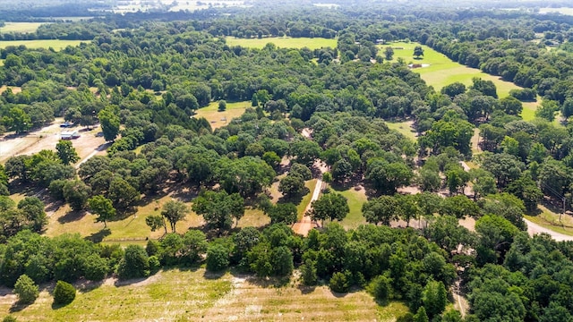 000 Vz County Road 4505, Ben Wheeler, TX 75754
