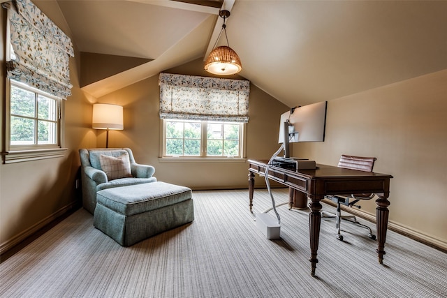 4560 Lorraine Ave, Highland Park, TX 75205 - office area with baseboards, lofted ceiling, and carpet